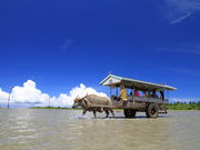 八重山観光フェリーの写真4