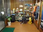 Blue Dolphin Japanの写真2