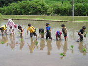 きくちふるさと水源交流館の写真4