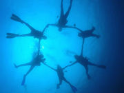 ダイビングスクールWITH山口の写真2