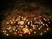 グリーンベックス キャンドルの写真4