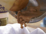 浜守の藻塩工場の写真4