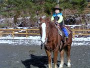 KAZ HORSE TRAININGの写真2