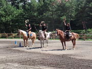 KAZ HORSE TRAININGの写真4