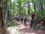 MTB JAPANの写真2