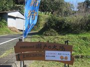 日積観光ぶどう園 瀬戸の太陽の写真2