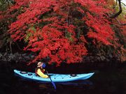 日光那須アウトドアサービス(奥日光)の写真3