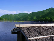 屋台船四万十の碧の写真3