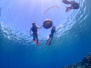 古宇利島ダイビングの写真4