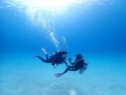 古宇利島ダイビングの写真2