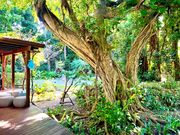 備瀬のあそびばの写真3