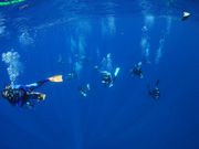 ダイブハウス バッシラインの写真3