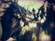 IZU ADVENTURE FACTORYの写真2