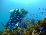 NatureTourShop insideの写真3