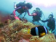 NatureTourShop insideの写真4