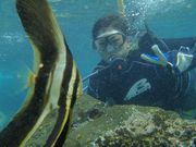 リーフ レイダーズの写真2