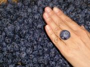 みのなる森 とこよの郷の写真3