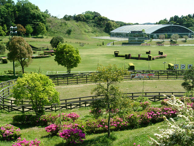 芝のメイン馬場と8万平米の日本最大規模の乗馬施設。ポニーにもふれあえます。_つま恋リゾート彩の郷