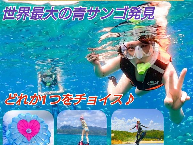 オプション ボートシュノーケルツアー/セットプラン*単品でのご予約は不可_スカイウォーク