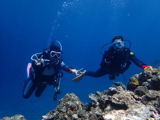 石垣ブルーを大満喫〜_石垣島ダイビング GLOBAL DIVE(グローバルダイブ)
