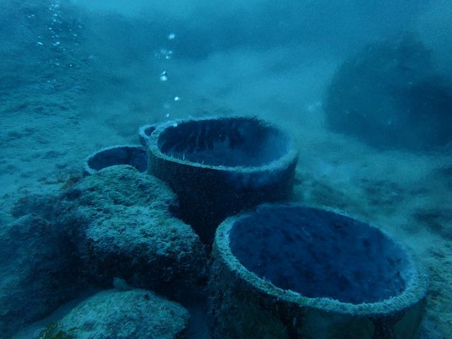 珍しい海底温泉ポイント!!_石垣島ダイビング GLOBAL DIVE(グローバルダイブ)