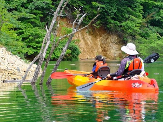 DAiseN TouRs