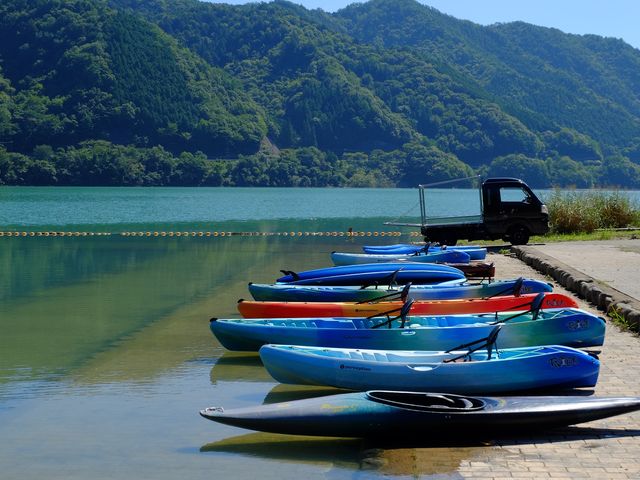 DAiseN TouRs