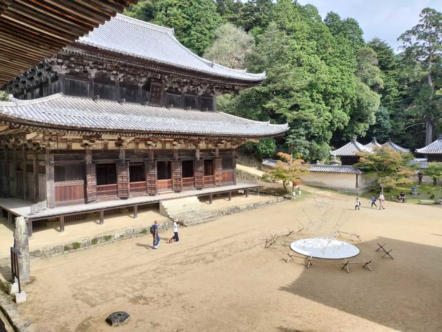 株式会社プロアクティブ