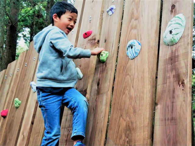 小学生以下のお子様向け、ツリークロスアスレチックも登場!_ツリークロスアドベンチャー厚木・七沢