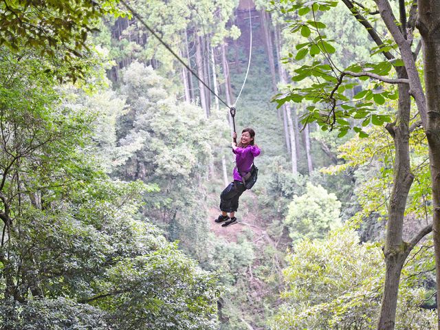 見えなくなるくらいまで飛んで行きます!_ツリークロスアドベンチャー厚木・七沢