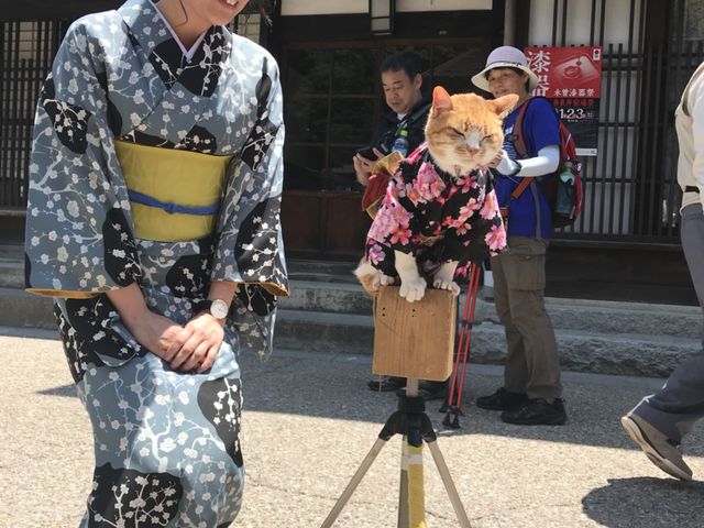 塩尻 着付&着物レンタル「kimono_monami」