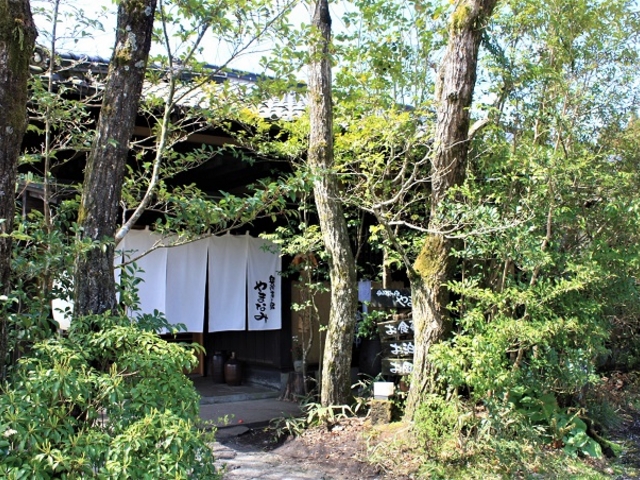 緑あふれるやまなみの玄関_奥阿蘇の宿やまなみ