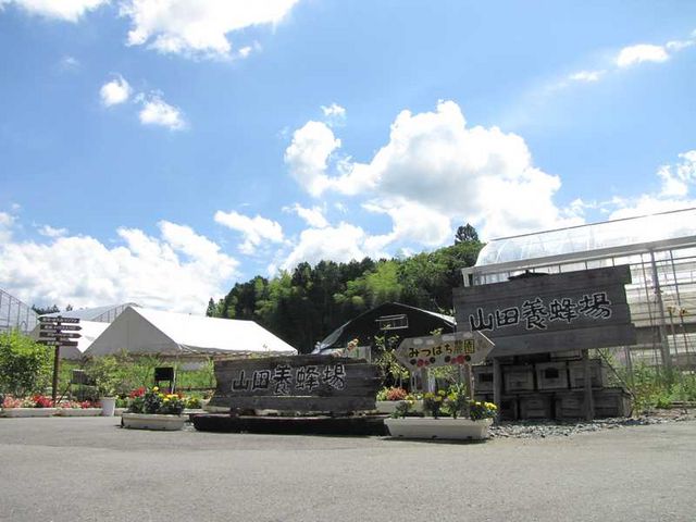 山田みつばち農園