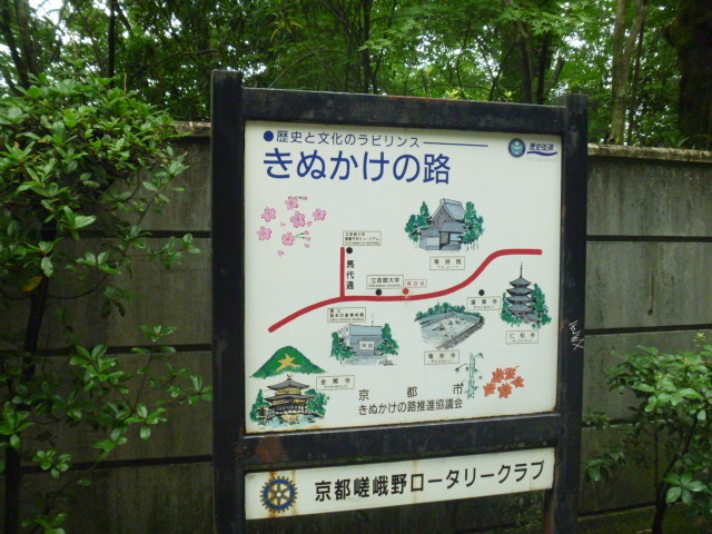 きぬかけの路