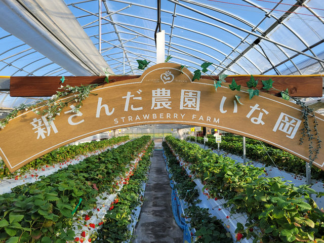 新さんだ農園いな岡