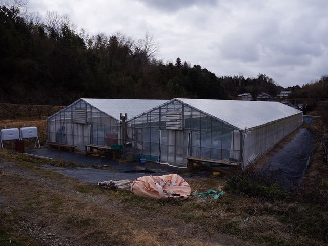 エーアイファーム