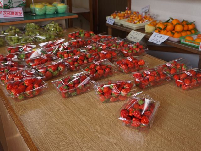 お土産のいちごも販売しております!_福山ファーム