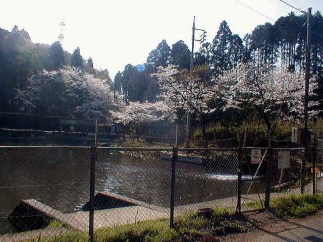 トラウトポンドNOIKE