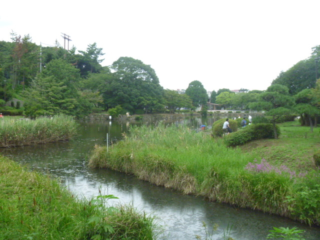 こども自然公園 大池