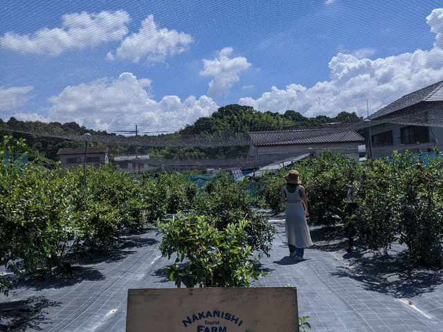 中西農園