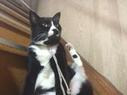 民宿オサキの写真4
