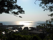 はやま三ヶ岡山緑地の写真2