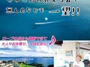 スカイウォークの写真3