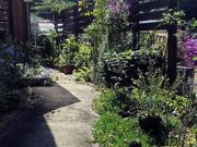 アロマ&ハーブスクールなだの写真2