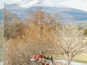 軽井沢浅間プリンスホテル Dining Bloomの写真2