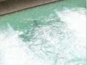 天然温泉 ゆの里の写真2
