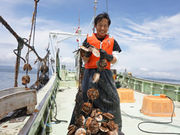 南三陸金比羅丸の写真2