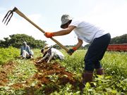 きぼうのたねカンパニーの写真4