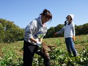 きぼうのたねカンパニーの写真3