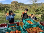 信ちゃん果樹園の写真4